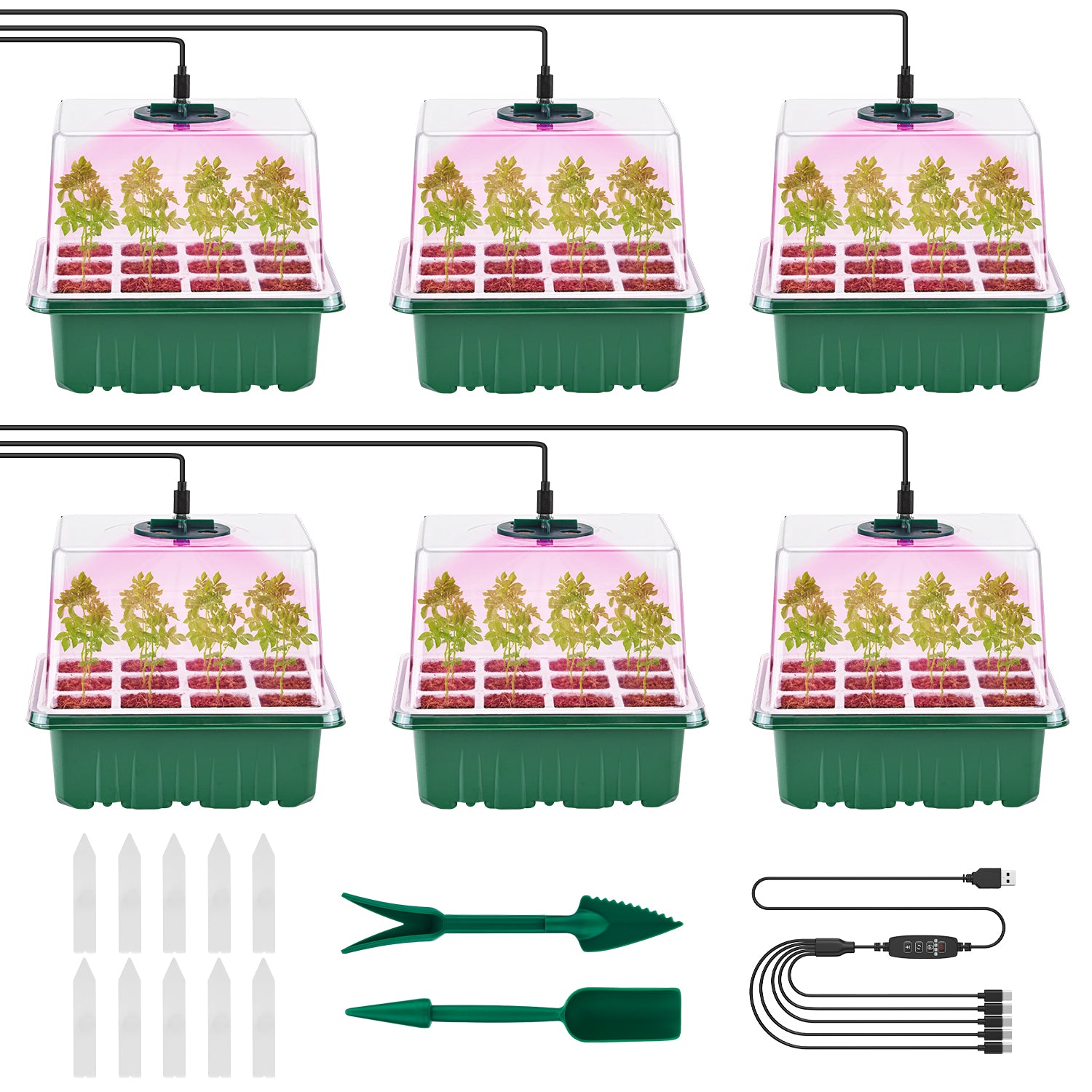 6 Packs Seed Starter Tray with Grow Lights
